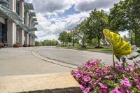 this city street looks like a deserted country side town center with many plants and flowers