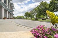 this city street looks like a deserted country side town center with many plants and flowers