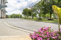 this city street looks like a deserted country side town center with many plants and flowers