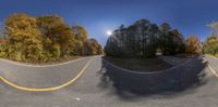 the wide angle lens is showing a curved road leading to several trees and some foliages