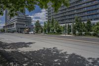 a street with tall buildings in the background and trees on both sides of the road