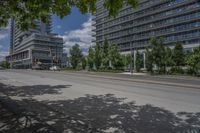 a street with tall buildings in the background and trees on both sides of the road