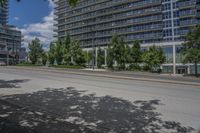 a street with tall buildings in the background and trees on both sides of the road