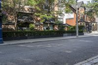 the sidewalk and street light is all empty, but there are lots of trees on both sides of it