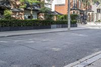 the sidewalk and street light is all empty, but there are lots of trees on both sides of it