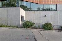 an empty street that has a large wall on the side and plants on the ground around it