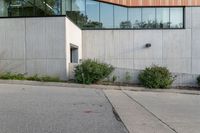 an empty street that has a large wall on the side and plants on the ground around it