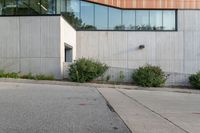 an empty street that has a large wall on the side and plants on the ground around it