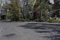 a street view of the street in front of a house with trees and bushes in front