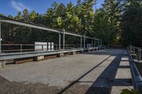 a concrete walkway through the woods in a park setting, in sunlight with blue sky