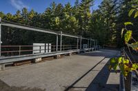 a concrete walkway through the woods in a park setting, in sunlight with blue sky