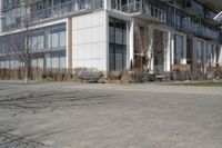 a brick paved area with buildings in the background and one fire hydrant in front