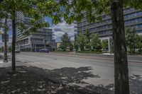 an empty street with tall trees along it and a sidewalk between two large buildings on the other side