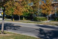 a city street with a fire hydrant on the side of it near trees and buildings