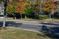 a city street with a fire hydrant on the side of it near trees and buildings