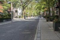 Toronto Ontario Neigborhoods: Tree-Lined Streets 001