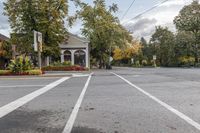 empty road with a traffic light and tree lined street corner and several houses, buildings and trees lining the street