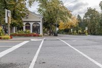 empty road with a traffic light and tree lined street corner and several houses, buildings and trees lining the street