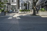 the street of a residential neighborhood with trees and benches on the side walk by a building