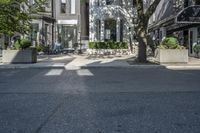 the street of a residential neighborhood with trees and benches on the side walk by a building