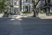 the street of a residential neighborhood with trees and benches on the side walk by a building