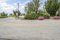 a park bench is placed at the end of the street between two trees and bushes