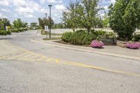 the intersection of a parking lot with yellow painted lines, bushes and trees in the middle