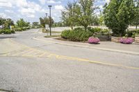 the intersection of a parking lot with yellow painted lines, bushes and trees in the middle