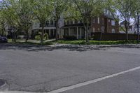 an empty street in a residential area with houses and trees growing along it in the daytime