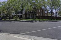 an empty street in a residential area with houses and trees growing along it in the daytime