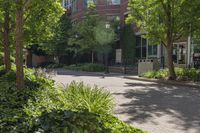 this city street is lined with many green plants and trees and there is a sidewalk behind it