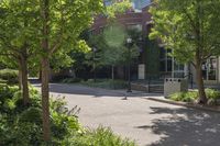 this city street is lined with many green plants and trees and there is a sidewalk behind it