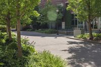 this city street is lined with many green plants and trees and there is a sidewalk behind it