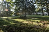 Toronto Residential Landscape with Lake in Sunlight