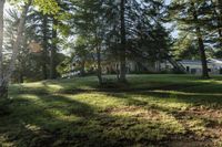 Toronto Residential Landscape with Lake in Sunlight