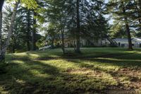 Toronto Residential Landscape with Lake Sunlight 003