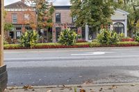 a red fire hydrant in the middle of the road near buildings and trees that have flowers on them