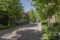 a paved street is lined with green trees on either side of a sidewalk where two buildings are