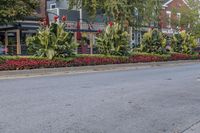 a red motorcycle parked on the side of a road with trees and flowers beside it