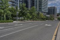 the empty street has white markings on it and is lined with trees and apartment buildings