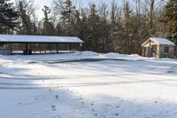 Toronto Snowy Parking Lot Forest Landscape 002