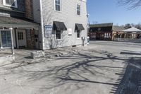 a sidewalk is in the middle of a street with a store and a dog walking near the doorway