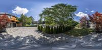 the reflection of a camera lens in the sky and a garden on the sidewalk as seen from a fish eye view