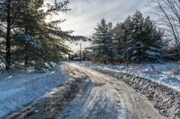 a snow covered country road going around some pine trees in the woods near a house