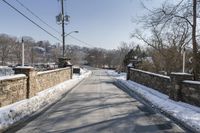 Toronto Suburban Bridge Tree Winter Scene 001