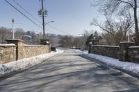 Toronto Suburban Bridge Tree Winter Scene 002