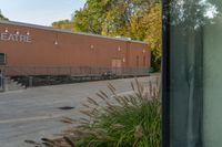 a man is walking toward a theater building from outside, looking at a sign on the side of a building with a tree