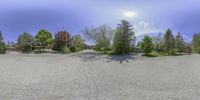 a road in front of a couple of houses with some trees and grass and a lot of buildings