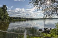 Toronto's Sunny Park Landscape