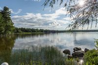 Toronto's Sunny Park Landscape